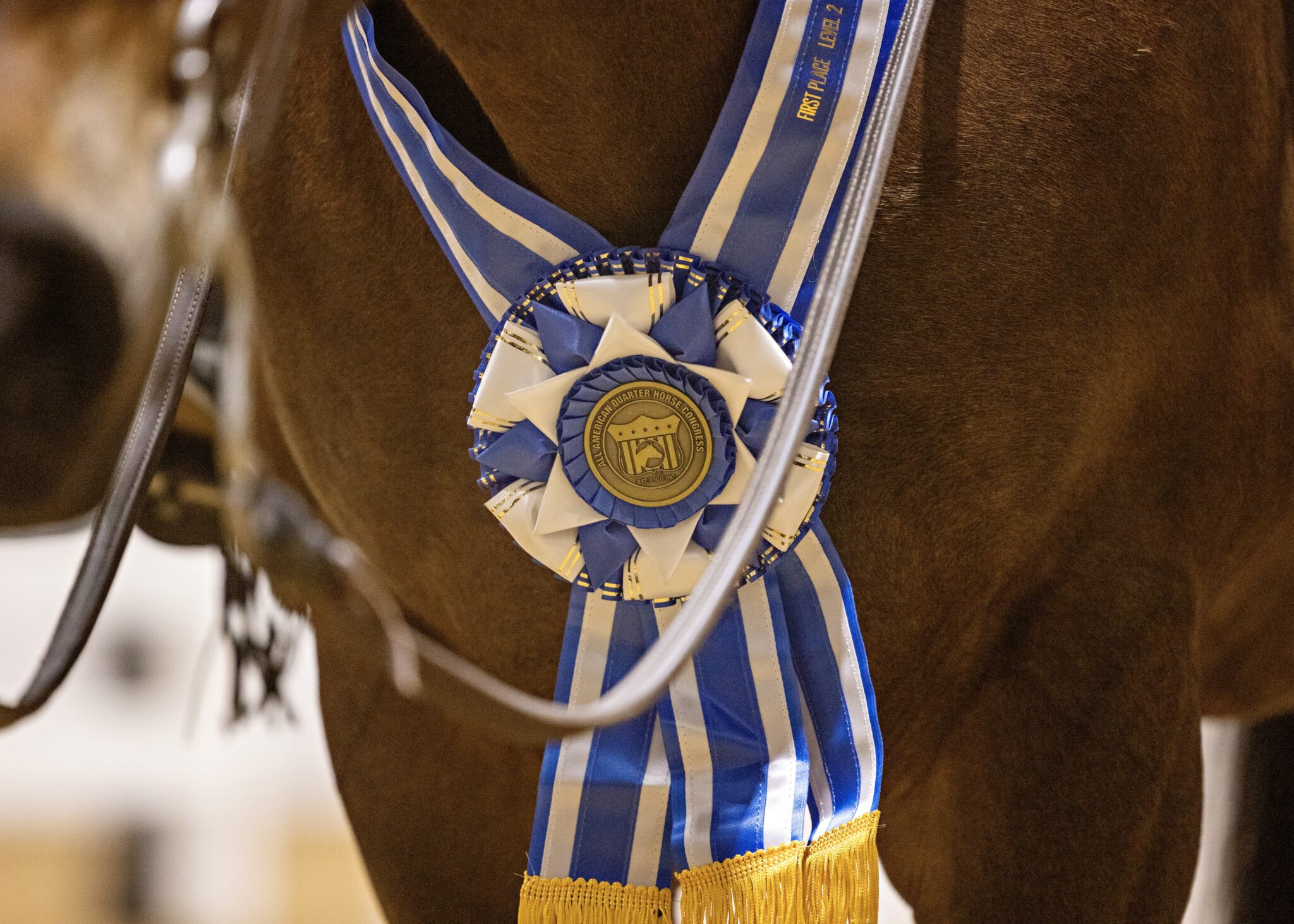 All American Quarter Horse Congress