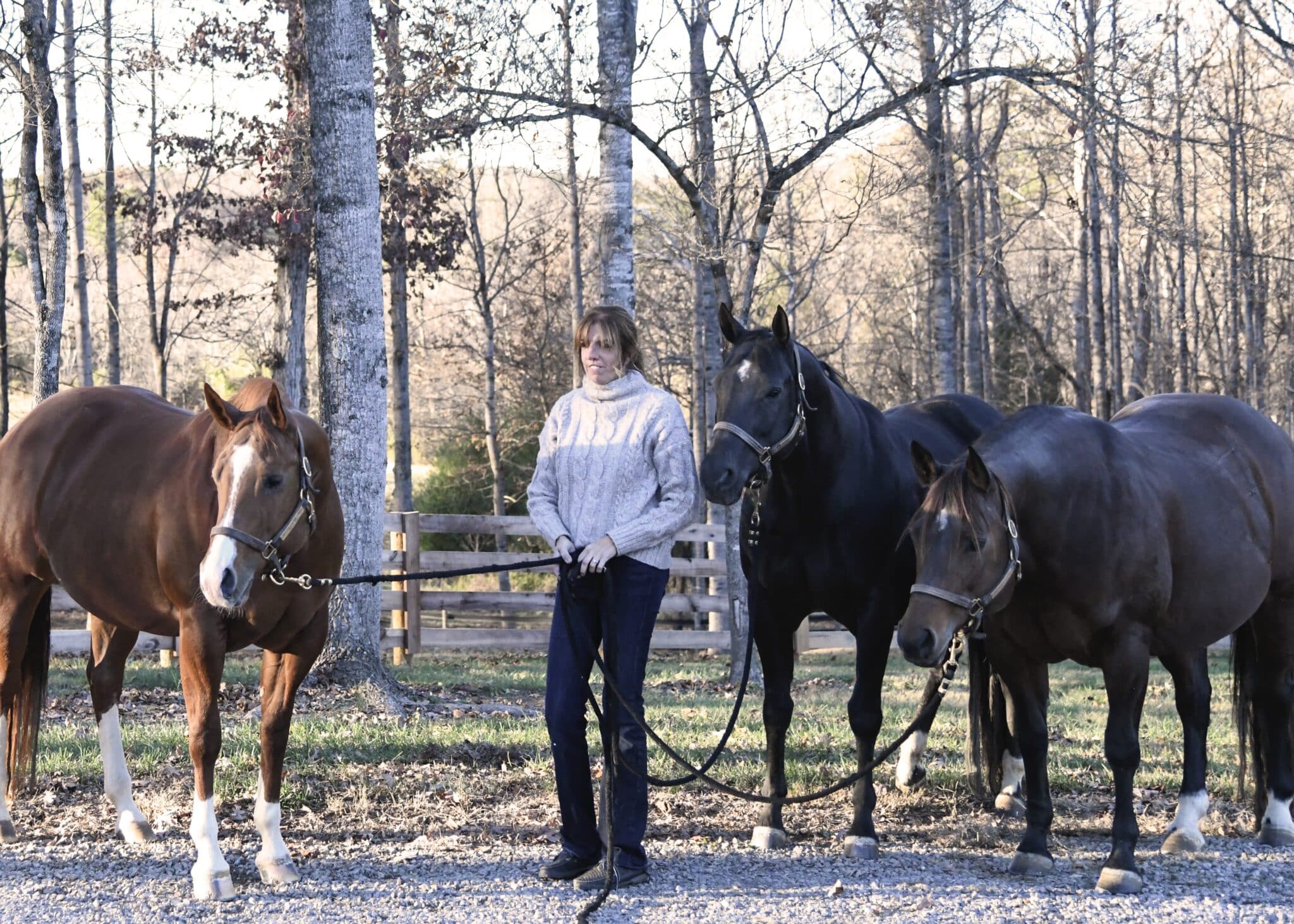 Breeder Spotlight: Barb Miller