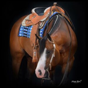 Florida Georgia Line