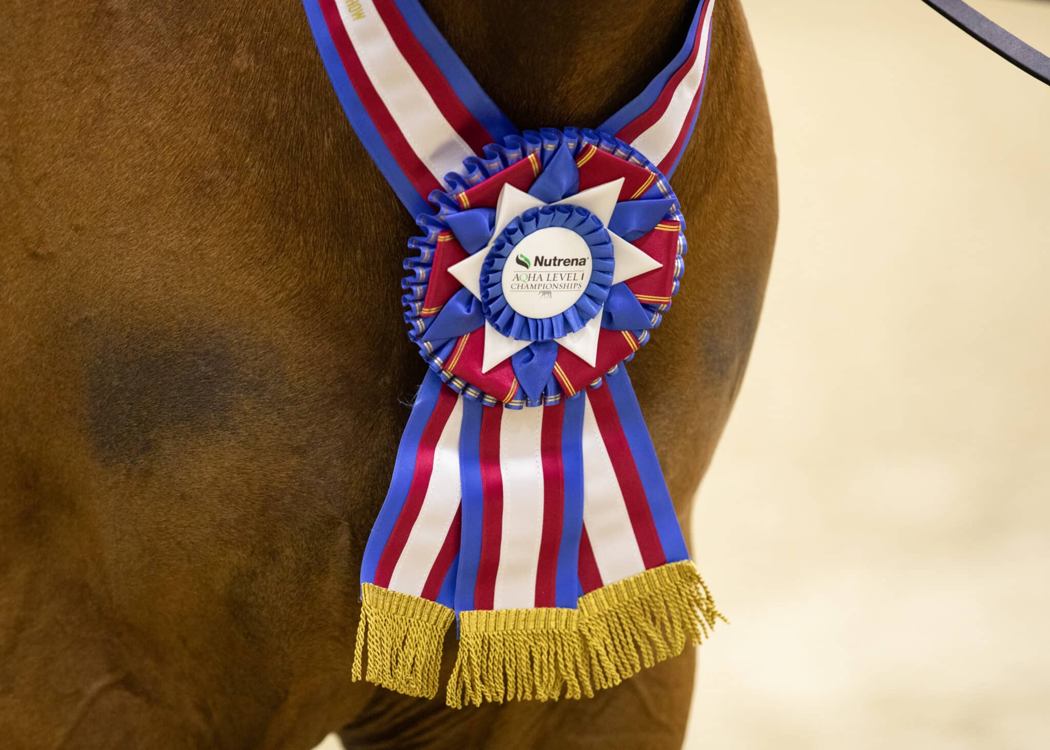 AQHA Level 1 East Championship