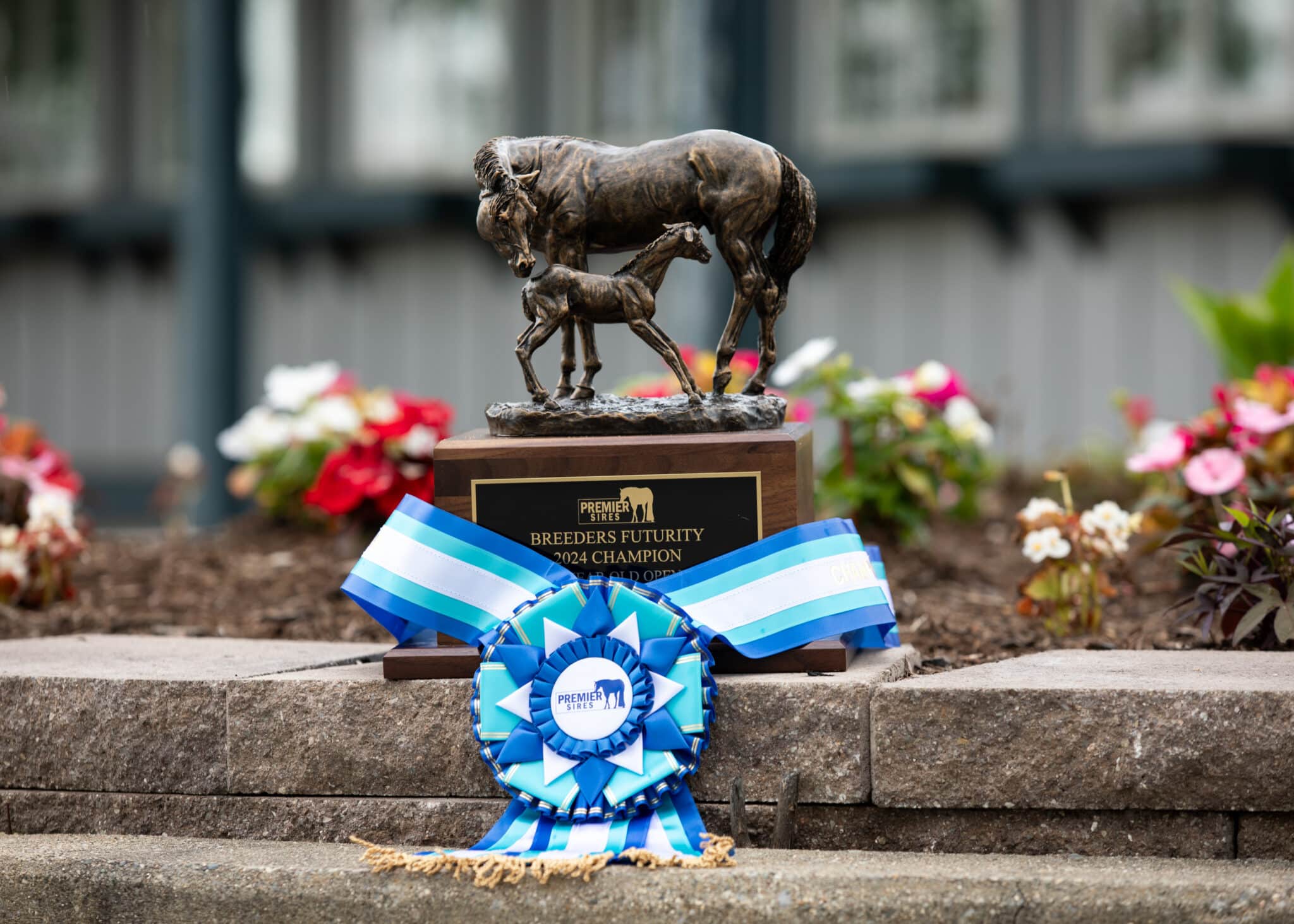 The Premier Futurity Results